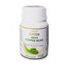 Gambar HENDEL EXITOX GREEN COFFEE BEAN dari Jovee Jakarta Selatan 1 Tokopedia