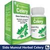Gambar SIDOMUNCUL HERBAL CELERY - Pereda Tekanan Darah Tinggi - LIFEPACK dari lifepack Jakarta Selatan 2 Tokopedia