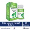 Gambar SIDOMUNCUL HERBAL CELERY - Pereda Tekanan Darah Tinggi - LIFEPACK dari lifepack Jakarta Selatan 1 Tokopedia