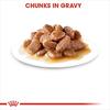 Gambar Royal Canin Urinary Care In Gravy Makanan Kucing Dewasa Wet 85gr dari sukapets Jakarta Pusat 4 Tokopedia