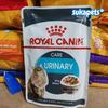 Gambar Royal Canin Urinary Care In Gravy Makanan Kucing Dewasa Wet 85gr dari sukapets Jakarta Pusat 2 Tokopedia