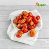 Gambar Tomat Cherry 250 gram / pack Sayur Segari dari Segari Kota Tangerang Selatan 1 Tokopedia