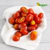 Gambar Tomat Cherry 250 gram / pack Sayur Segari dari Segari Kota Tangerang Selatan 2 Tokopedia