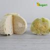 Gambar Lettuce Head 300 - 350 gram / pack dari Segari Kota Tangerang Selatan 3 Tokopedia