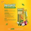 Gambar HERBAKOF SIRUP 15 ML BOX 5 STICK PACK dari GoApotik Jakarta Selatan 4 Tokopedia