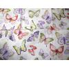 Gambar Blue Butterflies dari Menik Shop Jakarta Barat 1 Tokopedia