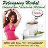 Gambar * BEST! *Teh Jati Cina Best Quality - Promo Buy 2 Get 1 Free ! dari Lucky Seven Kota Semarang 3 Tokopedia