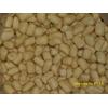 Gambar Getas Sumber Mata Sari 500gr dari Toko Ichtus Snack Kab. Bangka Barat 2 Tokopedia