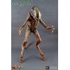 Gambar Hot Toys - Dog Alien Alien 3 dari Yosylina Kota Yogyakarta 1 Tokopedia