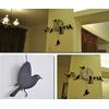 Gambar Little Bird Clock dari SUMMER Kota Bandung 4 Tokopedia