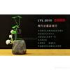 Gambar LAMPU JAMUR AVATAR VASE dari Cherry Store Jakarta Barat 1 Tokopedia