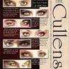 Gambar GEO TWILIGHT CULLEN dari Choco Station Jakarta Barat 2 Tokopedia