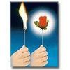 Gambar Torch To Rose dari Firemagic Kota Bandung 1 Tokopedia
