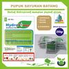 Gambar Pupuk Hidroponik AB Mix 250 Gram (Sayuran Batang) dari Sumber Makmur (SM) Kab. Nganjuk 1 Tokopedia