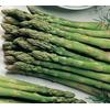 Gambar 1 Kaleng Biji Benih Eceran Asparagus F1 varietas UC800 dari Biji Benih Kota Medan 2 Tokopedia