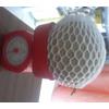 Gambar FOAM NET Buah uk. Pepaya California dari ADE STORE SURABAYA Kota Surabaya 1 Tokopedia