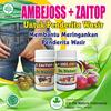 Gambar Obat Wasir - Ambeien Manjur Murah Tanpa Operasi - Ambejoss Salep Salwa dari iD deNature Jakarta Barat 3 Tokopedia