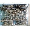 Gambar Green Bean Peaberry / Kopi Lanang Robusta Malang dari KOPI MAHAGADING Kab. Malang 3 Tokopedia