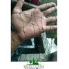 Gambar Jaring Ayam pagar Kandang Ayam Jaring Pagar Tanaman dari Purotani.ID Kab. Purworejo 2 Tokopedia