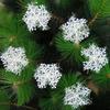 Gambar hiasan natal snow flake christmas decoration snowflake dari Me & Mom - Jimbaran-Bali Kota Denpasar 2 Tokopedia