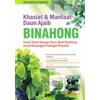 Gambar Umbi Binahong Biji Benih Bibit Binahong Tanaman Herbal Binahong dari OutletRyan Kota Bandung 5 Tokopedia