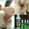 Gambar Pipapet ukuran Midi dari RumahSteril Kota Depok 2 Tokopedia