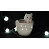 Gambar Babi Animal Flower Pot Tanaman Serba Guna
Bahan Keramik 10 x 8 cm dari KlinikRobot Kota Tangerang 1 Tokopedia