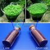 Gambar bibit benih tanaman air carpet seed aquascape aquarium - MINI DWARF dari neo geo shop Kota Depok 3 Tokopedia