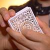 Gambar Kartu Remi Import Regalia White Shin Lim (Playing Cards) dari Card Story Jakarta Barat 5 Tokopedia
