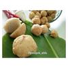 Gambar Pempek Adaan dari Pempek Alifa Kota Bekasi 2 Tokopedia