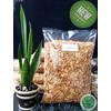 Gambar 1Kg Bawang Merah Goreng Brebes Kiloan PREMIUM dari Bawang Kuy Kab. Kuningan 1 Tokopedia