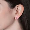 Gambar Her Jewellery Birth stone Earrings - Anting Crystals from - January dari Her Jewellery Jakarta Pusat 5 Tokopedia