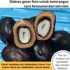 Gambar Termurah BUAH ZURIAT MADINAH - PROMIL Ukuran Small - PROGRAM HAMIL dari kurma-haji Kota Surabaya 1 Tokopedia