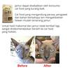 Gambar Makanan Kucing / Cat Food Caesar Natural Holistic Lamb & Salmon 9,8kg dari Caesar Jac'O Jakarta Barat 3 Tokopedia
