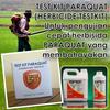Gambar Test Kit Paraquat - Herbicide Testkit - Teskit or Tes Cepat Herbisida dari easytest Kab. Brebes 1 Tokopedia