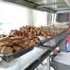 Gambar Pempek selam 123 lampung dari snackku enak Kota Bandar Lampung 1 Tokopedia
