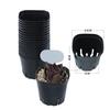 Gambar Pot Semi Kotak Mini Pot Succulent Kaktus Black dari Biji Benih Kota Medan 2 Tokopedia