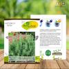 Gambar Benih-Bibit Herba Rosemary (Haira Seed) dari benihkita Kota Depok 5 Tokopedia
