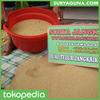 Gambar Telur Jangkrik Alam Untuk Ternak Jangkrik Kemasan 500 Gram dari SuryaGuna Kab. Tulungagung 4 Tokopedia
