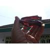Gambar Gelang cristal marajan/Akarbahar merah dari UKM ISRN JEMBER TOP Kab. Jember 5 Tokopedia