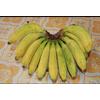 Gambar BUAH PISANG RAJA dari (SB) sahabat buah Jakarta Barat 3 Tokopedia