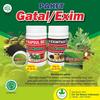 Gambar Obat Gatal Eksim - Exim Ampuh De Nature dari Pusat De Nature Herbal Kab. Cilacap 2 Tokopedia