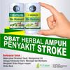 Gambar Paket obat stroke de nature (centiloss + morici) dari Herbal de Nature Jakarta Barat 1 Tokopedia