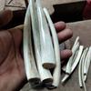 Gambar Pipa Rokok TULANG IKAN DUYUNG 14 cm dari UKM ISRN JEMBER TOP Kab. Jember 1 Tokopedia