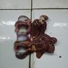 Gambar Ati Ampela Ayam Kampung dari ud.anugrah Jakarta Pusat 2 Tokopedia