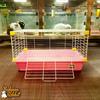 Gambar Super Rabbit SR06 Simple Cage For Rabbit Pink dari Bakpao Rabbit Kota Bekasi 5 Tokopedia