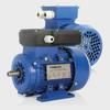 Gambar Famoze Pro 1,5 HP 1 phase 2800 rpm dinamo elektro motor 1.5 dari Mahameru Indonesia Kota Surabaya 1 Tokopedia