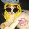 Gambar topi rajut crown untuk kucing dari alhamdulillahshop Kota Semarang 2 Tokopedia