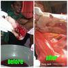 Gambar Air ajaib Obat diabetes gatal dari Obat Herbal Bogor Kota Bogor 3 Tokopedia