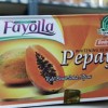 Gambar Paling Laris Fayolla Body Soap Sereh Plus Sulfur 70 Gr - Sabun Mandi dari Hari Alma Jakarta Timur 3 Tokopedia